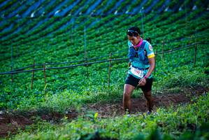 BIB: 7042
                            <button type="button" onclick="openModal(19160089)" class="btn btn-primary btn-sm float-right btn-popup" data-toggle="modal" data-target=".modal-high-quality">
                        <i class="fas fa-shopping-cart"></i> Add to Cart
                    </button>
                                            <button type="button" onclick="isThisMe(19160089, true)" class="btn btn-success btn-sm float-right btn-popup btn-isme hidden" data-toggle="tooltip" data-placement="bottom" title="นี่คือรูปของคุณใช่ไหม คลิกที่นี่เพื่อเอาเข้าอัลบั้ม">
                        <i class="fas fa-plus"></i> Add to album
                    </button>
                    <button type="button" onclick="isThisMe(19160089, false)" class="btn btn-warning btn-sm float-right btn-popup btn-isnotme hidden">
                        <i class="fas fa-ban"></i> Remove from album
                    </button>